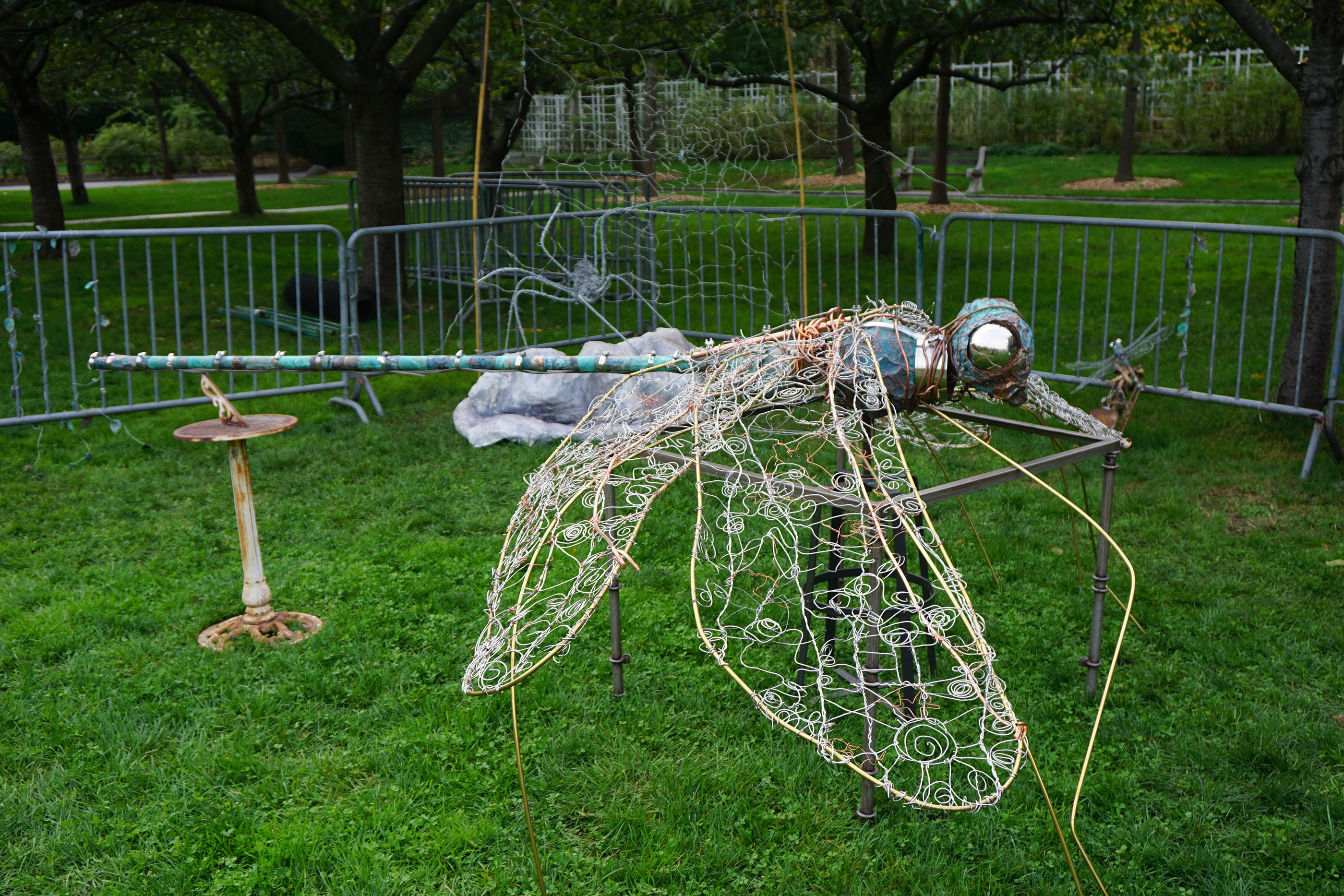 Dragonfly
